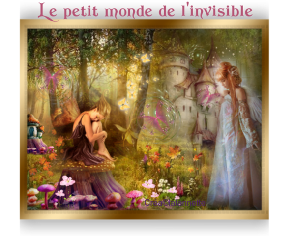 Mercredi 2 novembre