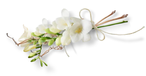 Barre florale