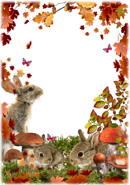 cadres pour creas format png lafannette centerblog