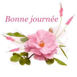 Les petits bonjours fleuris