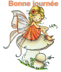 Les petits bonjours de février