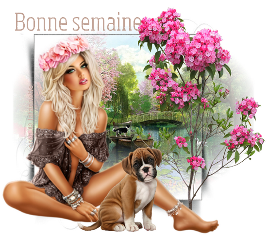 Lundi 1er juin - Bonne semaine