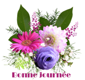 Les petits bonjours fleuris