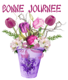 Les petits bonjours fleuris